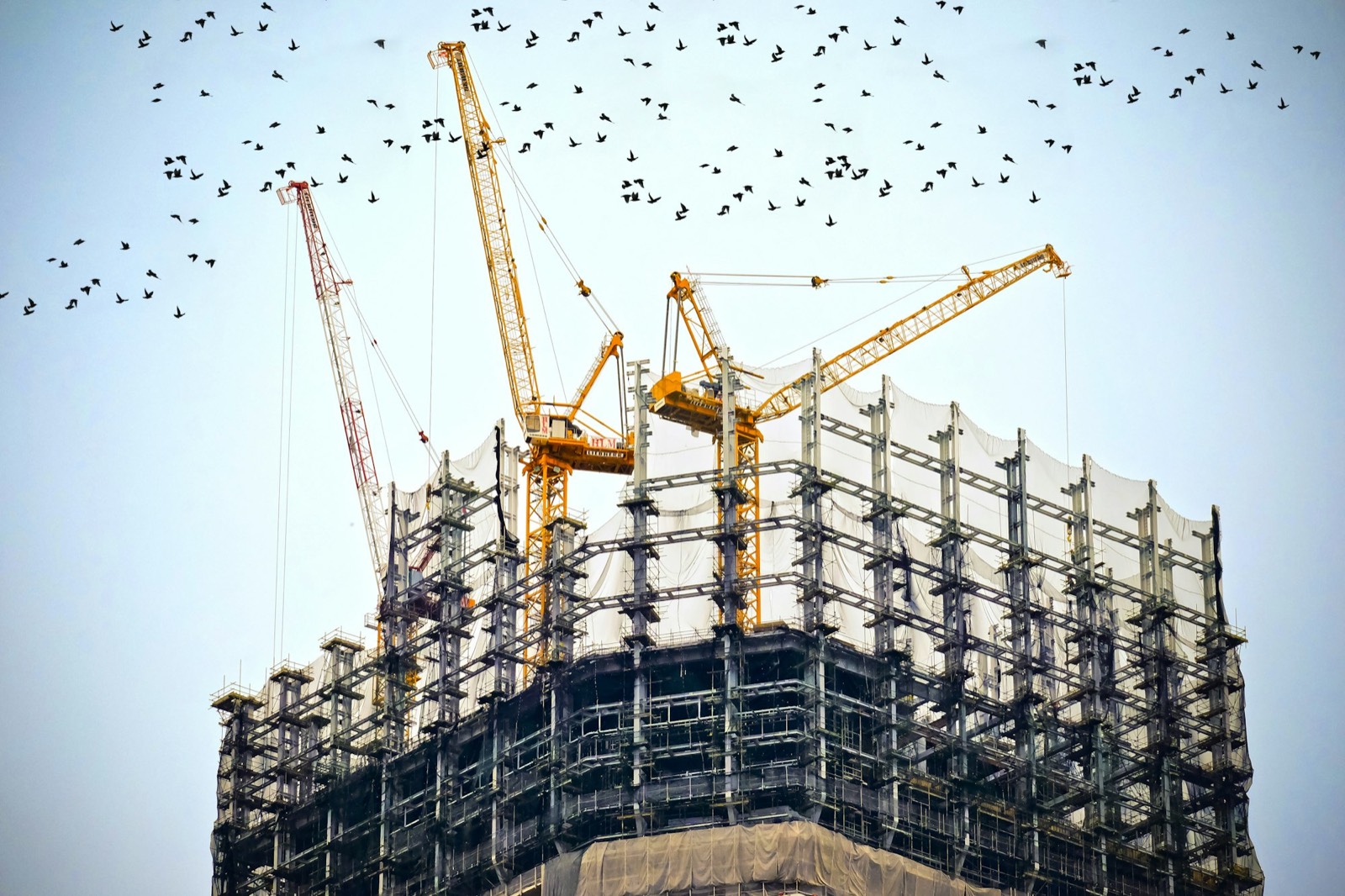 Tower cranes and scaffolding on a building under construction. Illustrative photograph, not a company project.